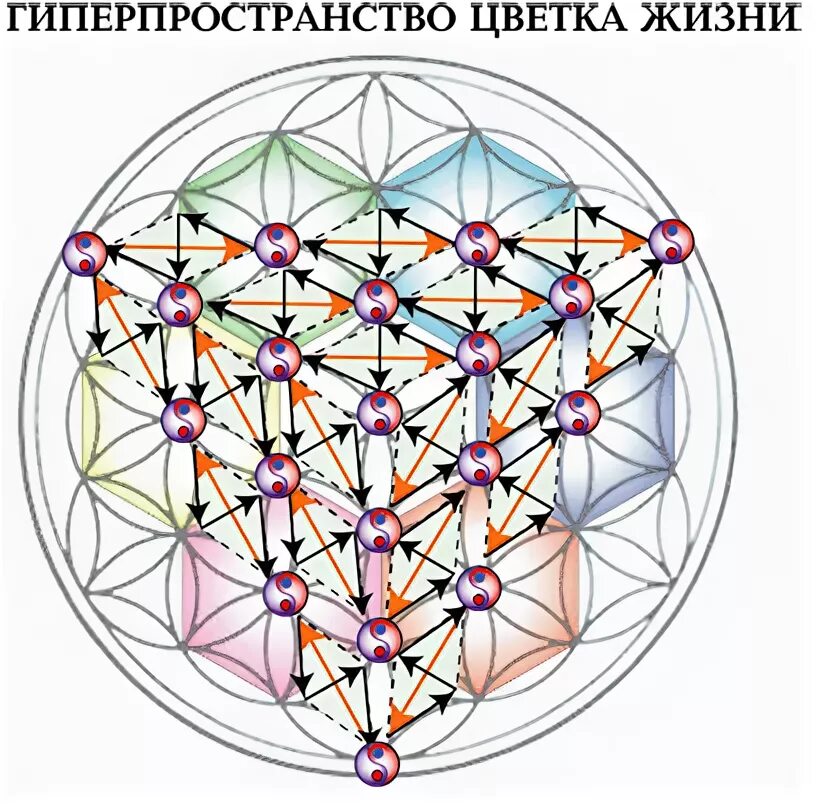 Цветок жизни значение. Цветы жизни описание. Куб метатрона и дерево сефирот. Цветок жизни сакральная геометрия мельхиседек. Друнвало мельхиседек древняя тайна цветка жизни.
