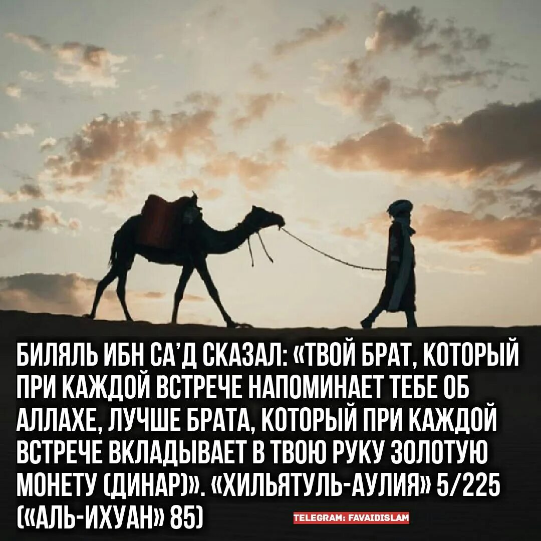 10 пророков мухаммеда