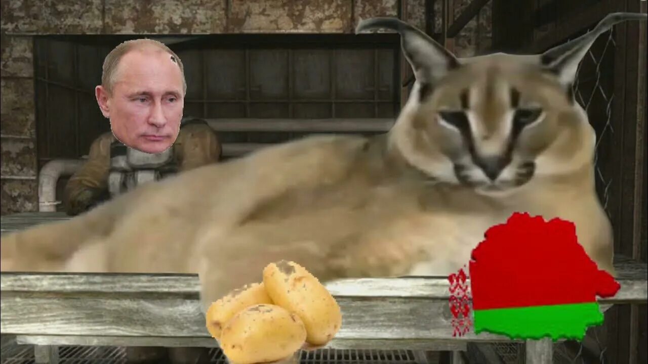 Шлёпы сталкер. Лукашенко откуда на Беларусь готовилось нападение мемы. А Я вам сейчас покажу. Я вам сейчас покажу откуда готовилось нападение Мем Лукашенко.