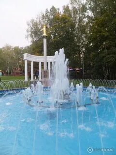Березовая роща дмитровское