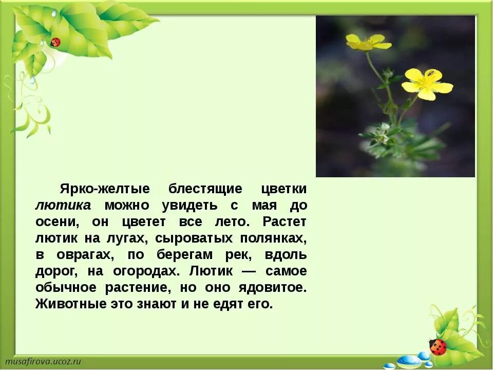 девиз красной книги. цветок на руку. почему нельзя срывать растения. если я сорву цветок если ты сорвешь. почему мы не будем рвать цветы и ловить бабочек.