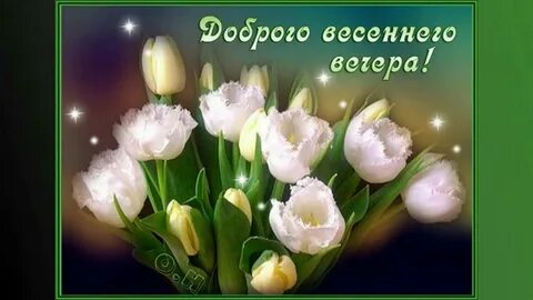 Добрый вечер весны видео