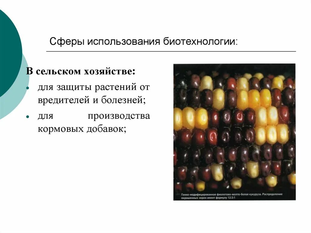 Методы биотехнологии растений. Сферы использования биотехнологии. Применение биотехнологии в сельском хозяйстве. Биотехнологии в растениеводстве. Достижения биотехнологии в сельском хозяйстве.