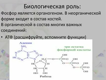 Биологическая роль фосфатов