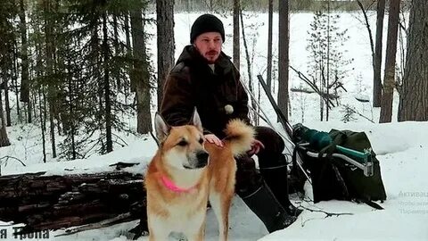 Леха таежная