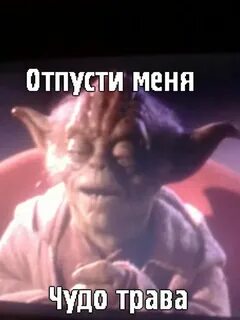 Отпусти трава