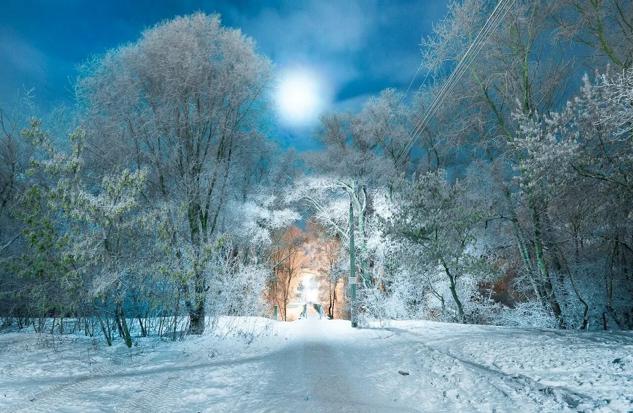 рябина в снегу. красивая зима. рябина зимой. зима февраль. солнечный зимний день.