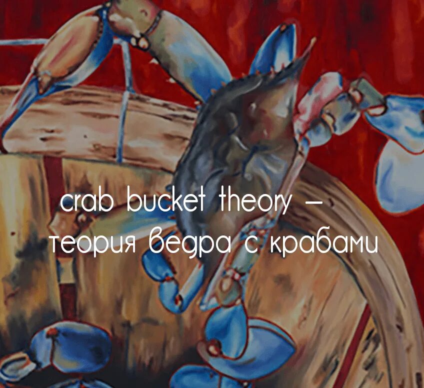 Теория крабов. Ведро с крабами. Теория ведра с крабами. Ведро с крабами притча. Эффект ведра с крабами.