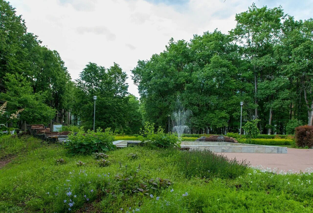 поселок зеленый бор минусинск. зеленый городок нижний новгород. зеленый ногинский район московская область. ногинский район, поселок зеленый, пск зеленый, корпус 9. пос зеленый ногинский район.