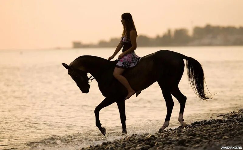 Брюнетка скачет. Девушка с лошадью. Девушка на коне. Фотосессия с лошадьми. Девушка на лошади со спины.