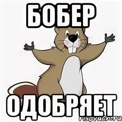 Мем бобры турбо. Бобер одобряет. бобер мем. бобр одобряет. бобер смешной мем.
