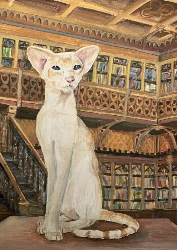 Hermitage cats огэ ответы. Hermitage cats огэ. Кошки в зимнем дворце санкт петербурга. Hermitage cats огэ. Hermitage cats огэ.
