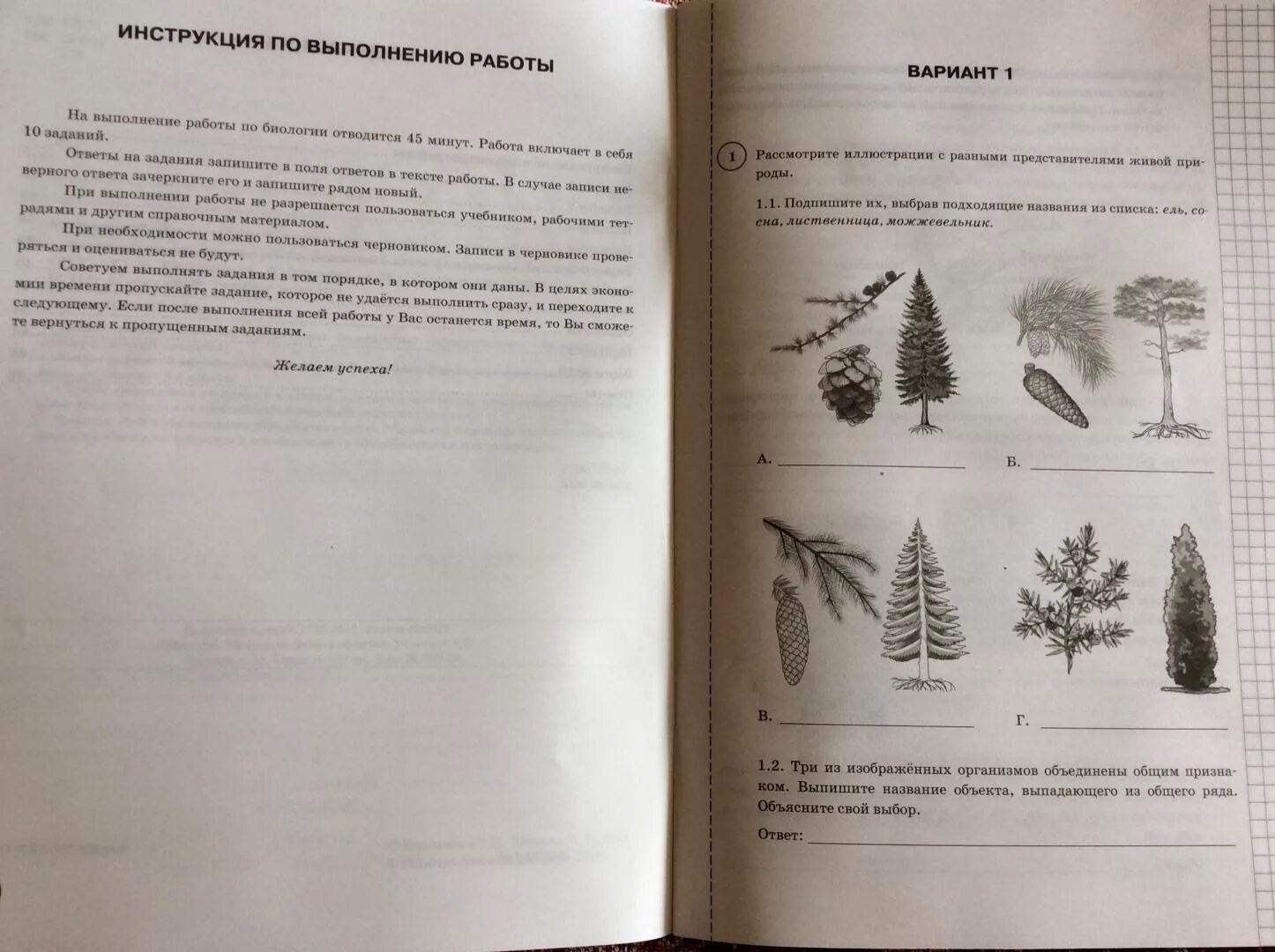 Решу ру биология 6 класс. ВПР по биологии 5 класс Банникова Касаткина шариков. Биология 6 класс Пасечник ВПР. ВПР биология. ВПР биология 6 класс.