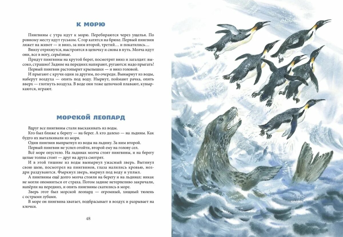 Пересказ рассказа про пингвинов старшая группа. Чтение рассказов г. Снегирева «про пингвинов».. Г Снегирева про пингвинов рассказ.