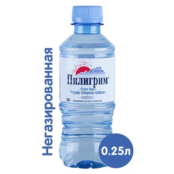 Пилигрим 1.5 литра. Вода Пилигрим 0.25. Минеральная вода Пилигрим 0,25. Пилигрим б/ГАЗ ПЭТ 0,5л*12.