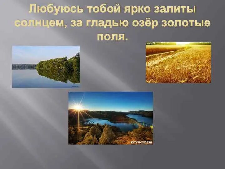 Залиты солнцем текст. За гладью озер золотые поля. Любуюсь тобой, ярко залиты солнцем за гладью озер золотые поля.. Любуюсь тобой, моя Россия. Я любуюсь тобой ярко залитой солнцем.