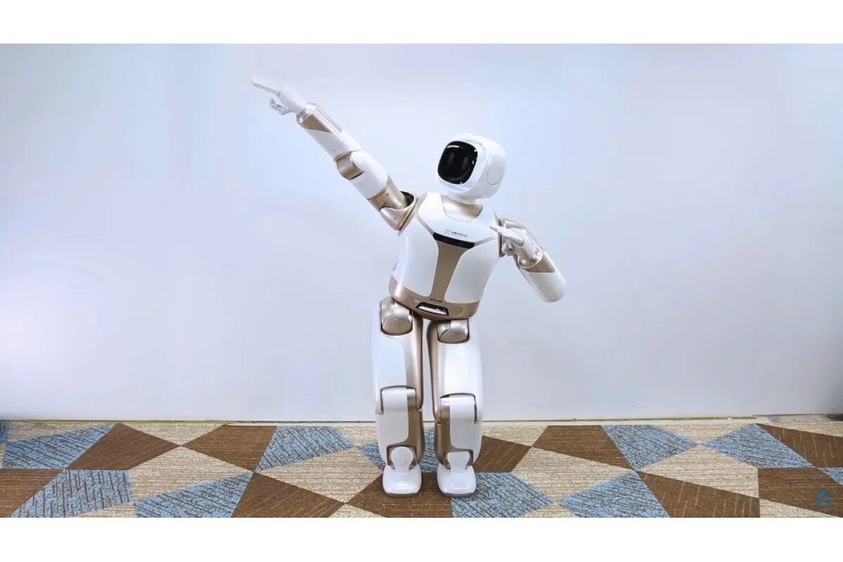 Где робот танцует. UBTECH Robotics Walker. Walker робот дворецкий. Робот UBTECH Walker x. Робот помощник дворецкий.