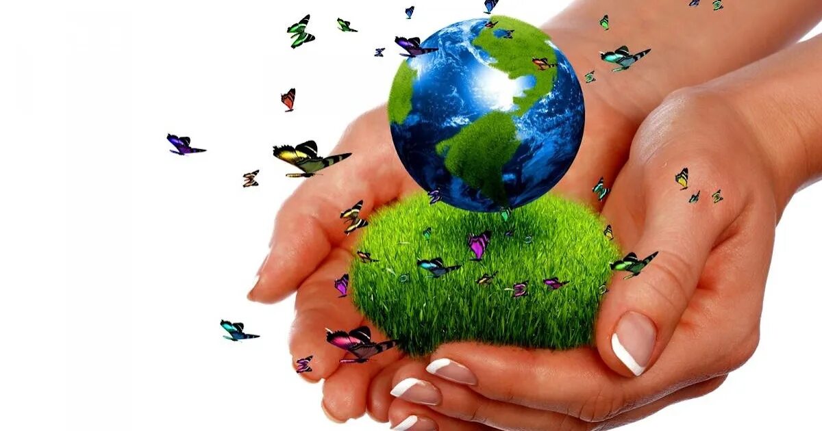 Все мы живем природе. Планета в руках человека. Земля в руках человека. Экология планеты. Планета в руках экология.