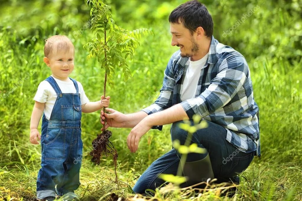 Семьи посадили деревья