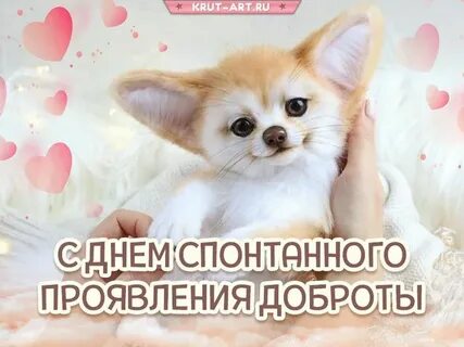 В каких случаях день добрый