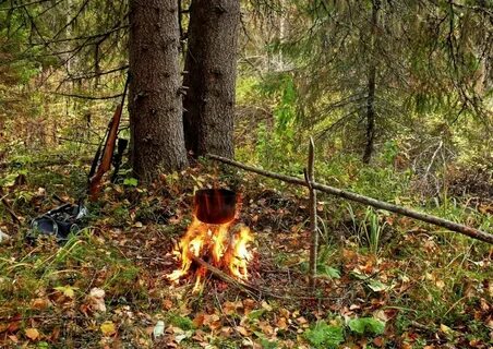 На опушке леса горел видневшийся издали костер