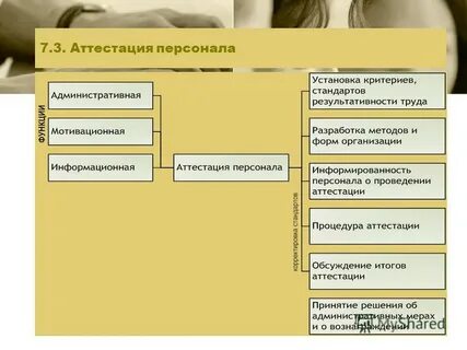 Программа аттестация тест
