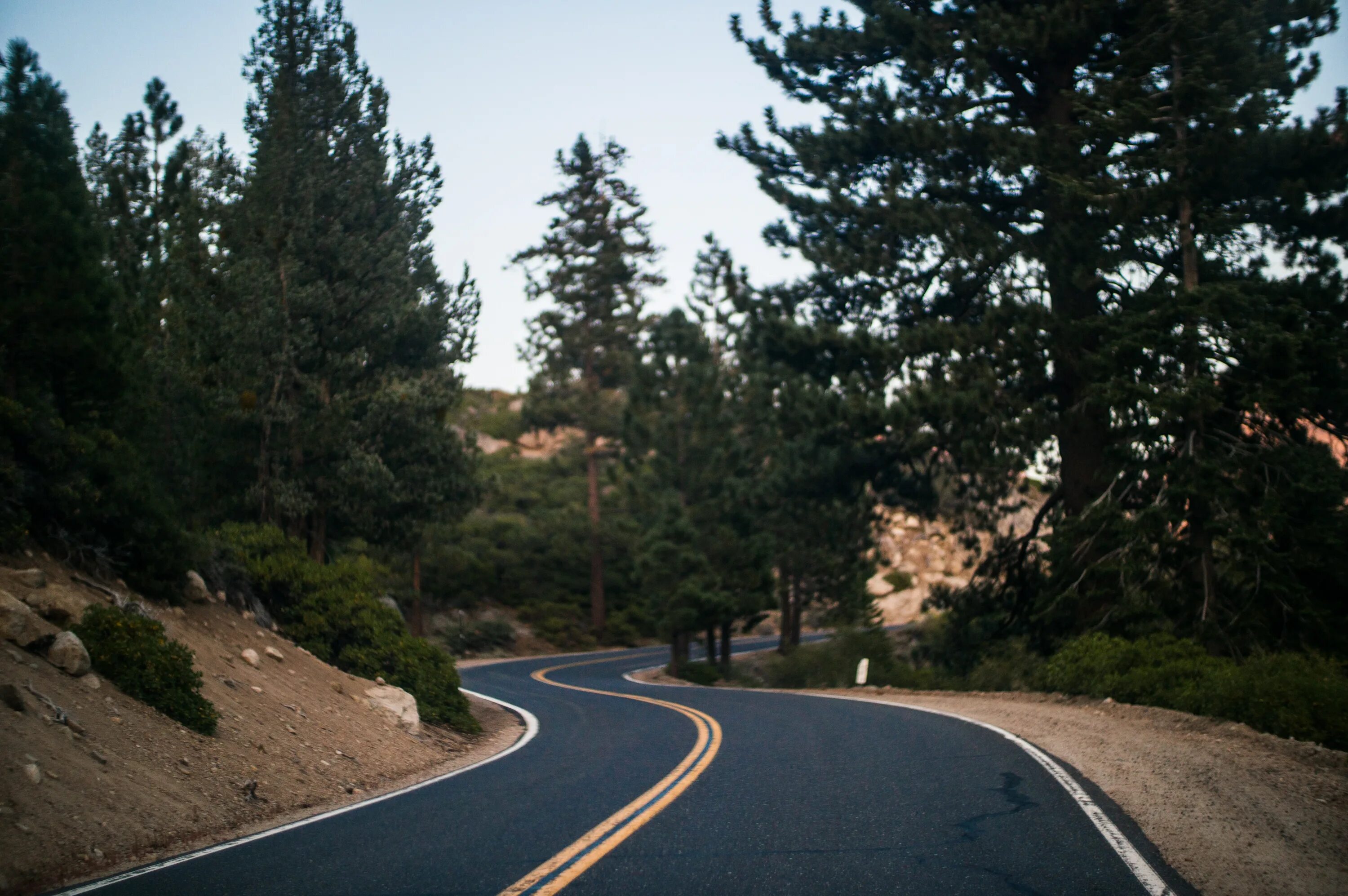 Дорога в лесу. Красивые дороги. Извилистые дороги. Красивая дорога. Road surface