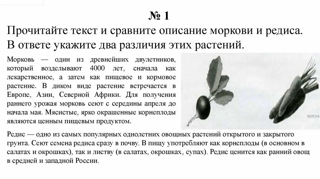 Ранним утром впр по русскому 5 класс. Сравнение биологических объектов. Сравнивать биологические объекты. Задание 7.1 ВПР. Задание ВПР 5 класс биология среда обитания.