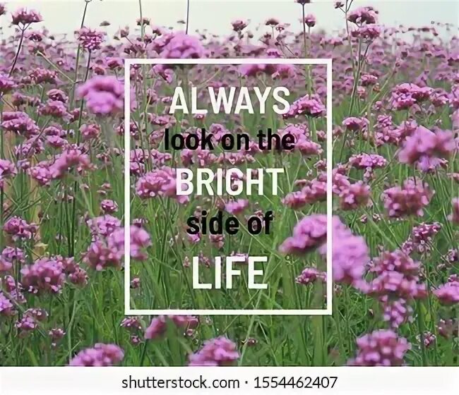 Look on the bright side перевод