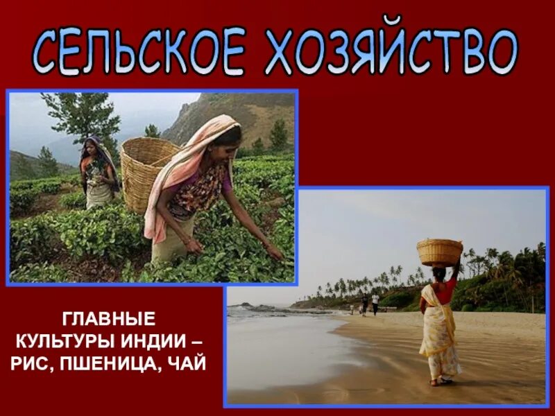 Мировое значение индии. Презентация по индии. индия презентация для детей. индия проект.