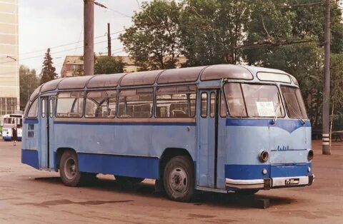 Год выпуска автобус