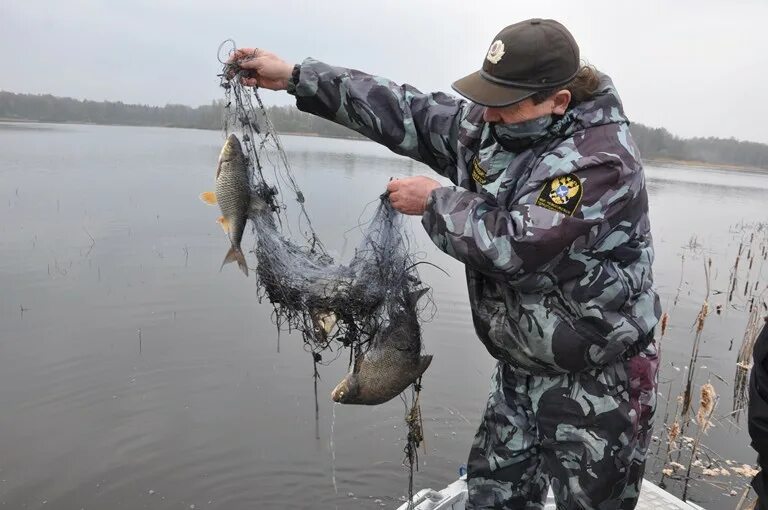 Можно ловить рыбу во время нереста. Рыболовное браконьерство. Ловля сетями.