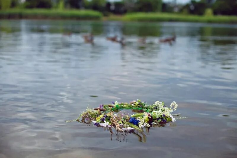 Венки на ивана купала. Ивана купала венки на воде. Венок на праздник ивана купала. Если венок утонул на ивана купала. Пускание венков на ивана купала.