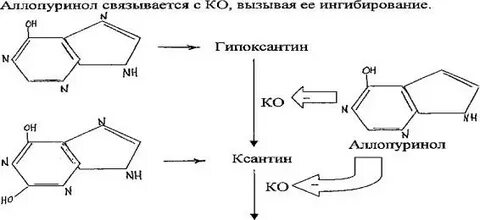 Аллопуринол механизм