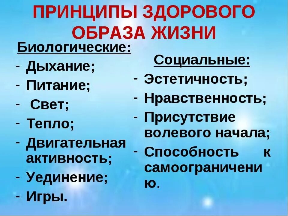 Принципы здорового образа жизни. Принцыпыздорового образа жизни. Основополагающие принципы здорового образа жизни. Принцып здорового образ жизни.