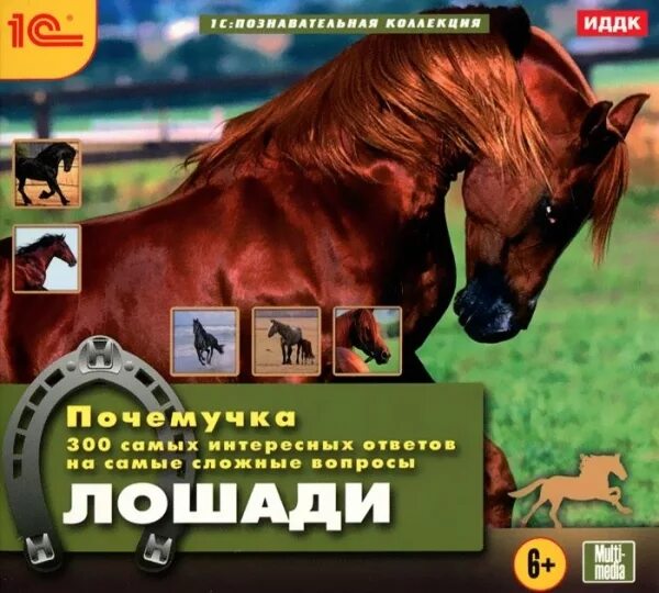 Лошадка вопросы. Почемучка с лошадью. Лошадь и цифровизация. Лошади почитаемое. Вопросы по лошадям для любителей лошадей.