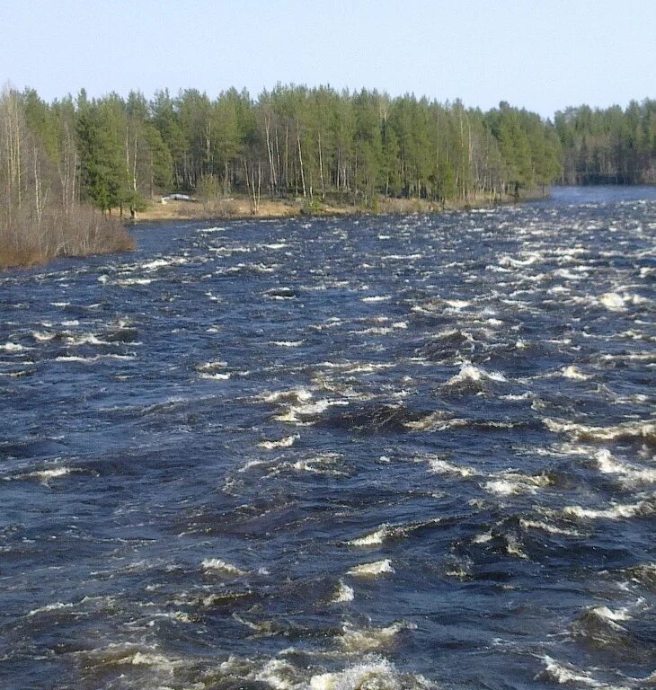 Течение было сильное. Усольский район река Китой. Река Курга Усольский район. В течении реки. Река с быстрым течением.