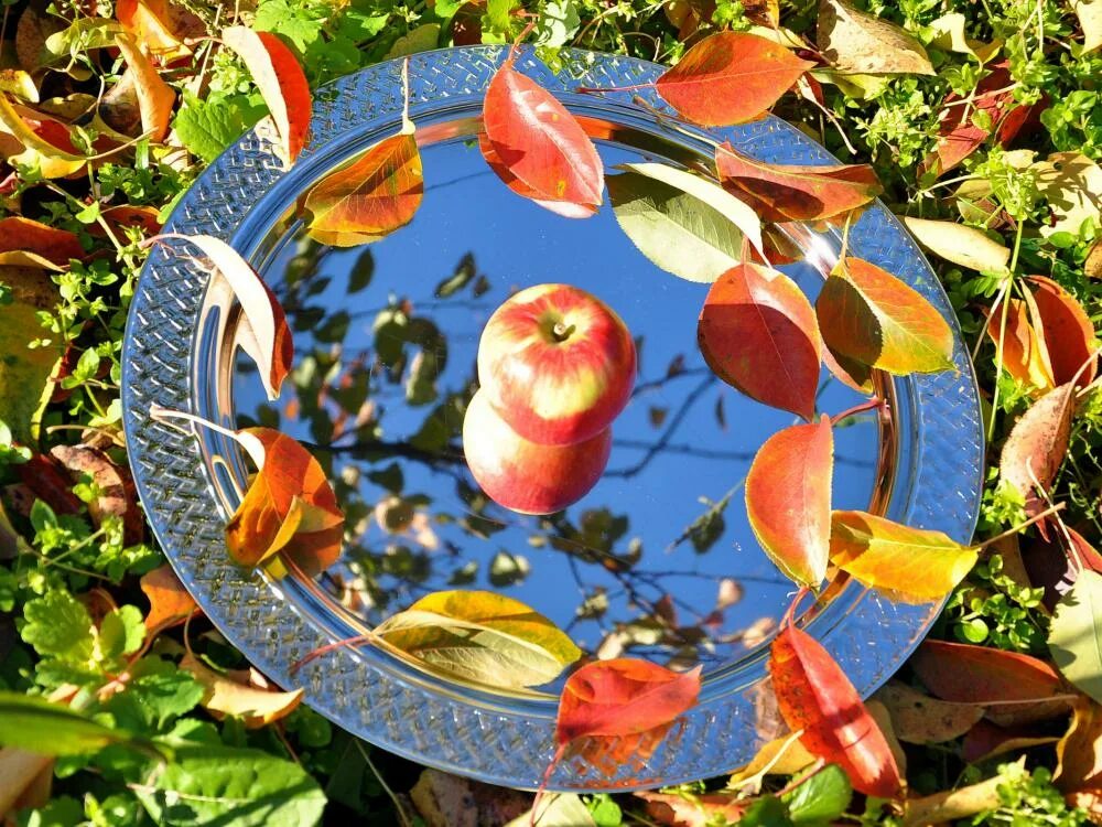 Дай ребятам по яблоку чтобы тарелка. Brain test уровень 97. Ободок яблоко. Нарезка из яблок. Виллерой яблоко на тарелке.