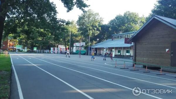 Олимпик лес воронеж. Стадион олимпик воронеж. Комплекс олимпик воронеж. Олимпик лес воронеж. Спорткомплекс олимпик воронеж.