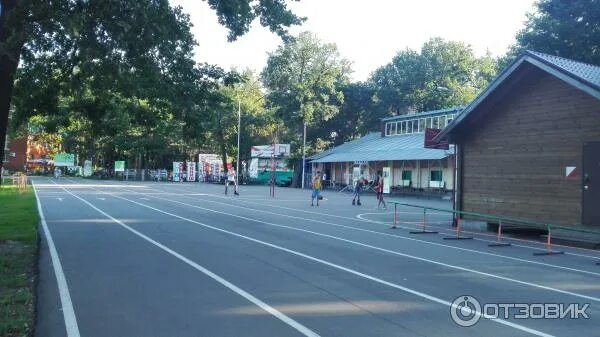 Парк олимпик воронеж. Стадион Олимпик Воронеж. Спорткомплекс Олимпик Воронеж.