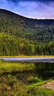 Телефон реками