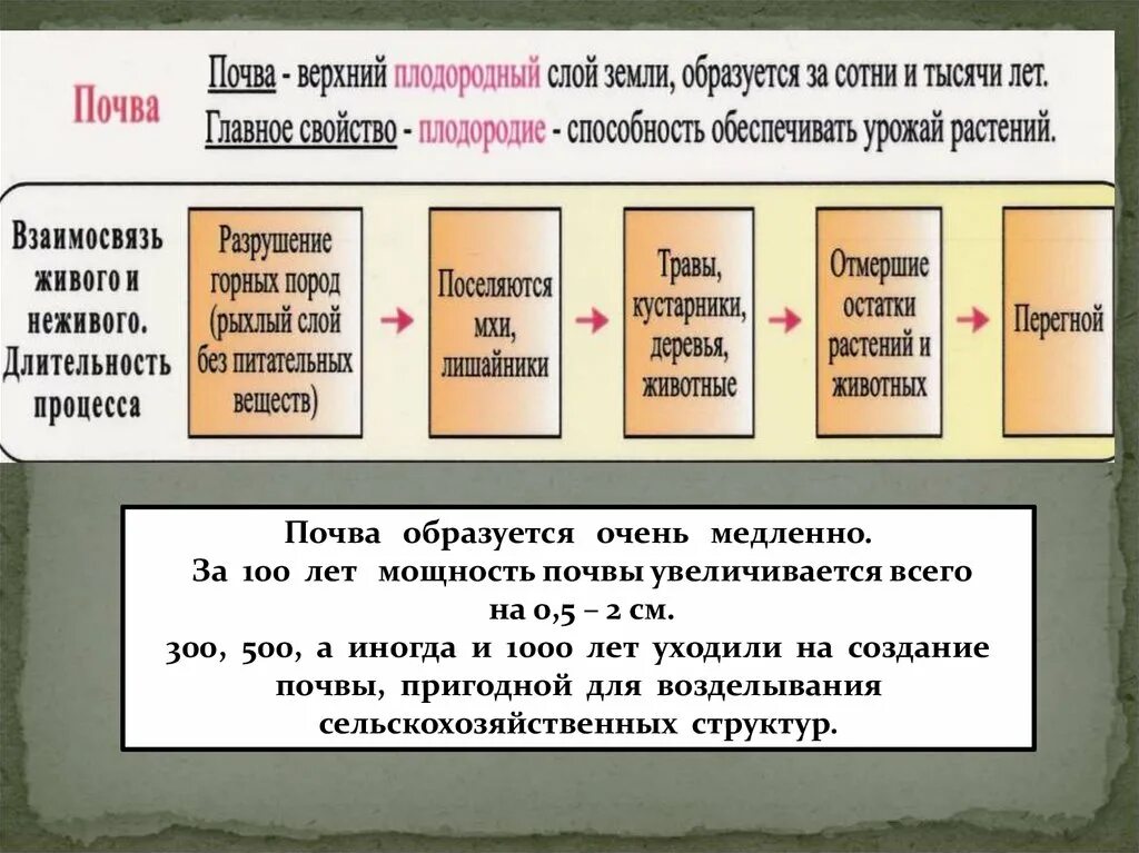 Почва особое природное тело 8 класс презентация