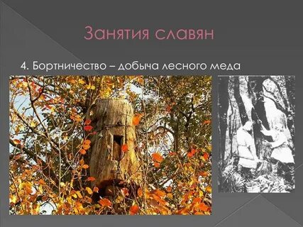 Бортничество славян