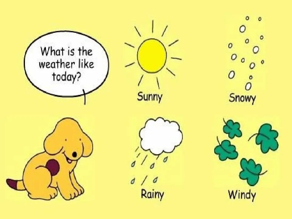 What s the weather is like. What is the weather like today. what`s is the weather like. how is the weather today. today the weather like today.