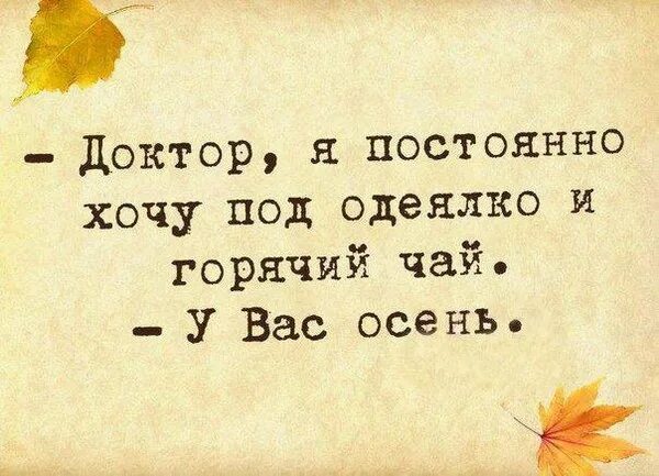 Позитивные высказывания. Короткие позитивные фразы. Доктор у меня аллергия на осень. Доктор я постоянно хочу под одеялко и горячий чай у вас осень.