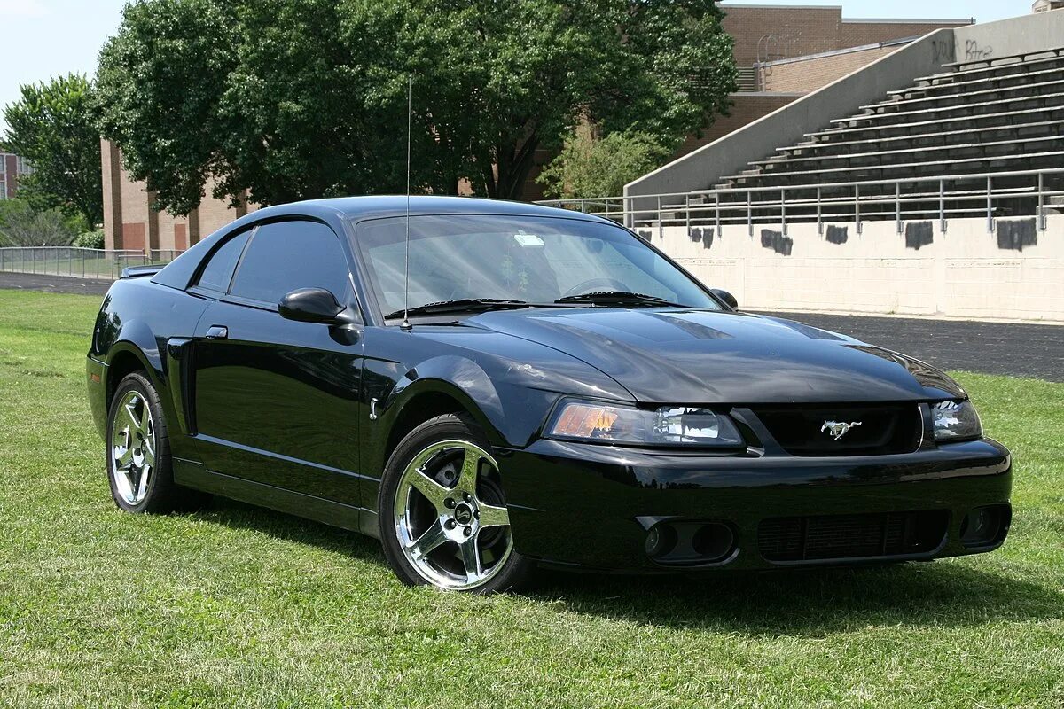 Mustang cobra. Ford Mustang SVT Cobra. Ford Mustang SVT Cobra 2004. Ford Mustang SVT Cobra r 2000. Ford Mustang Cobra 2004.