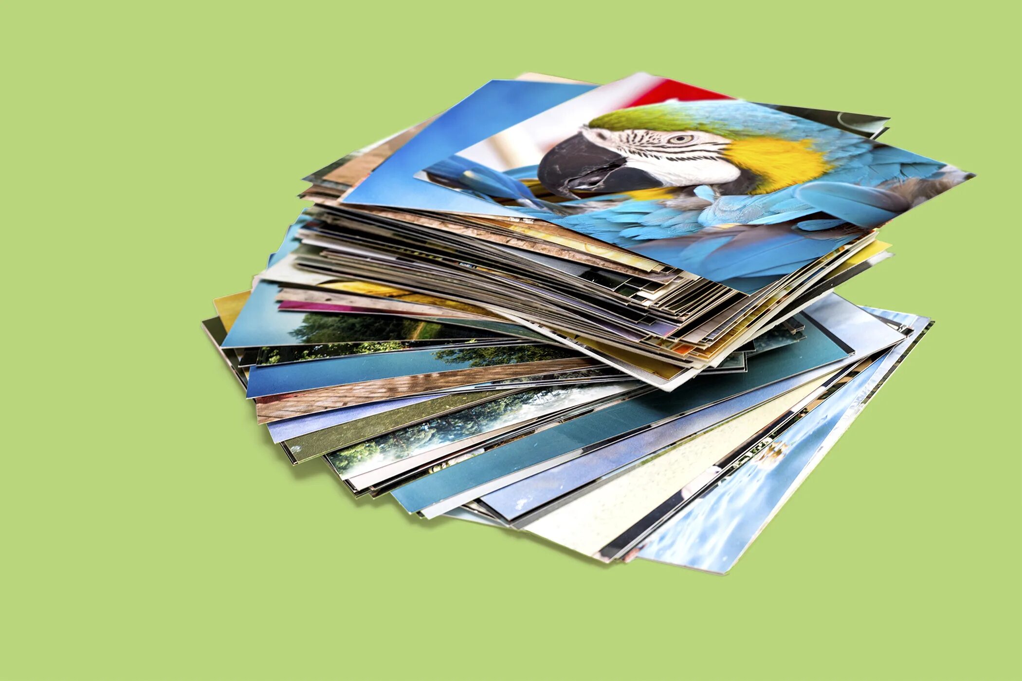 Print 15 4. Пленочный баннер. printed pictures. pics print. постеры скрученные.