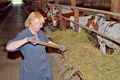 Рабочий день женщины на селе