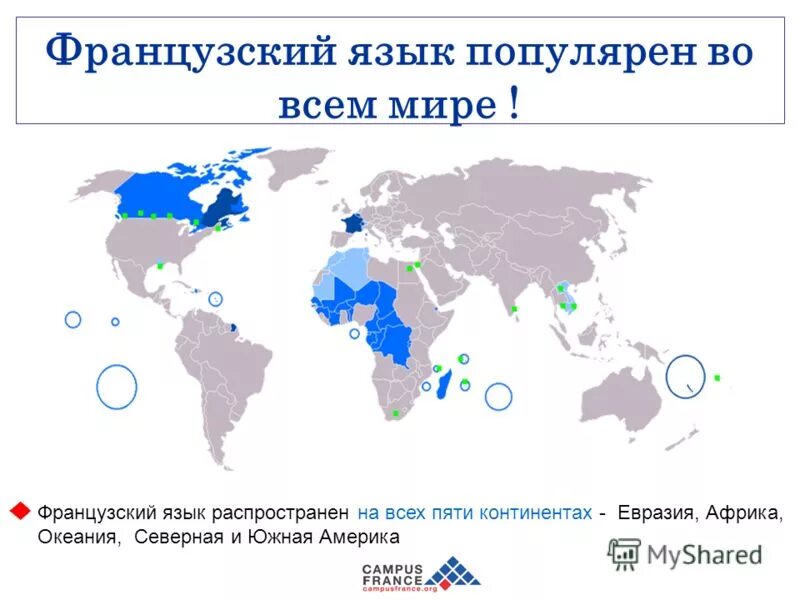Какие страны разговаривают на французском языке список. Страны где говорят на французском языке. Какие государства говорят на французском языке. Карта французского языка в мире. В каких странах французский является государственным.