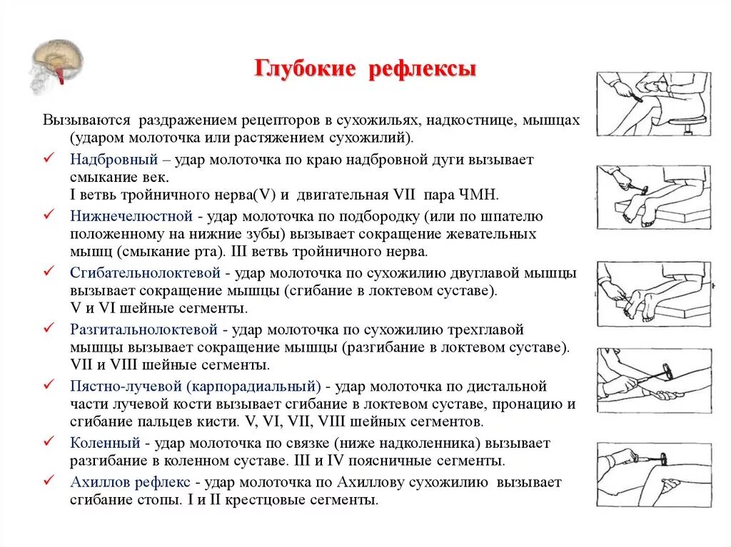 Методика исследования сухожильных рефлексов. Сухожильные и периостальные рефлексы. Методика исследования.. Исследование сухожильных рефлексов на верхних конечностях. Сухожильные рефлексы пропедевтика. Проверка рефлексов